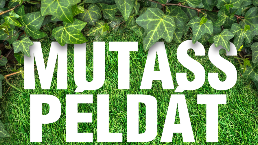 Teremtésvédelmi programok a Föld napjára
