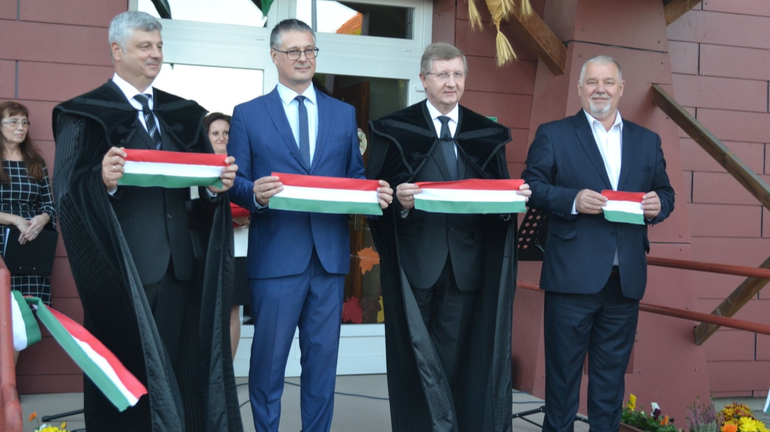 Utak, kapuk, lépések