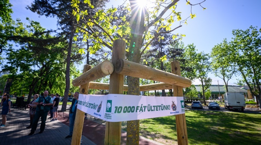 Mint a folyóvíz mellé ültetett fa...