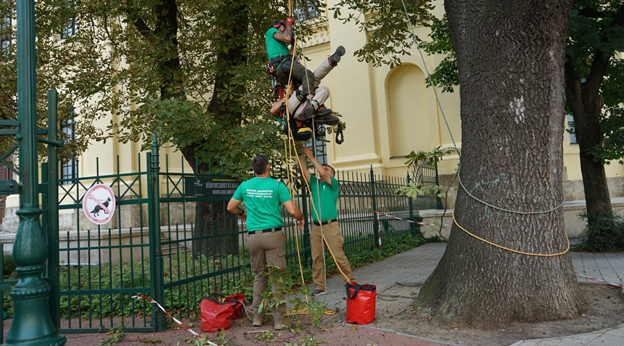 Csaknem száz helyszínen segített tavaly az MRSZ speciális egysége