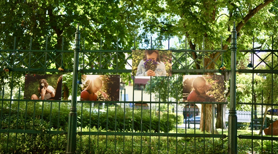 Sérült fiatalok mindennapjait bemutató kiállítás nyílt a debreceni Nagytemplom mögötti területen