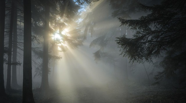 Isten igéje az emberi élet mélységeiben