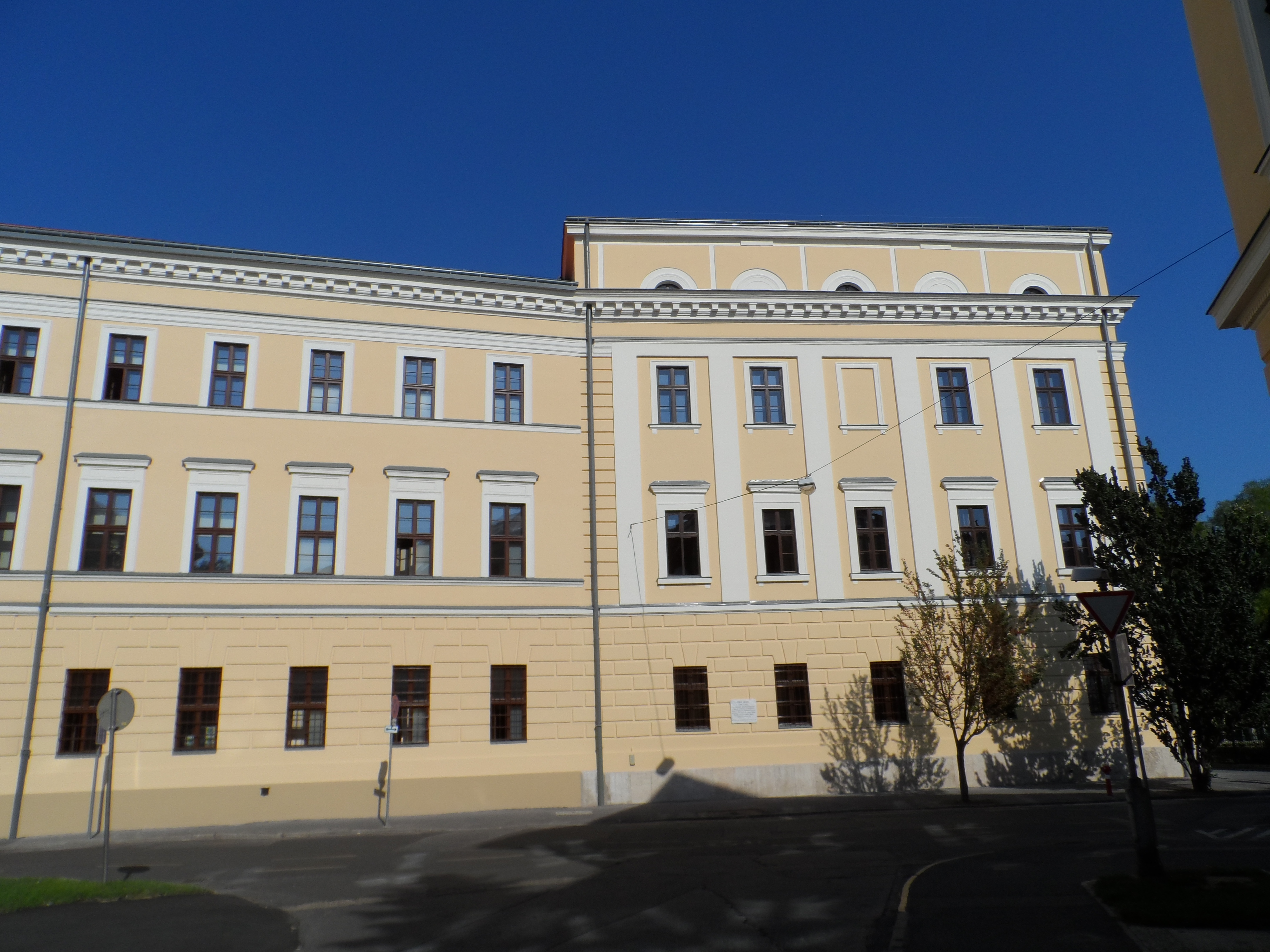 Kalvinter_foto
