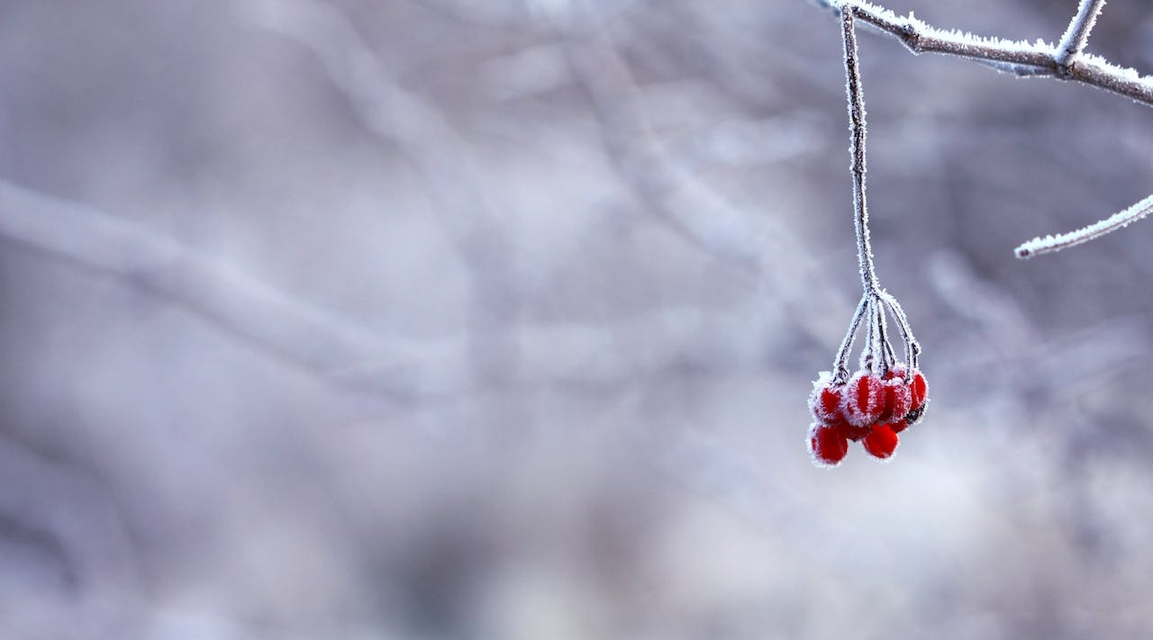 Adventi kalendárium - Interjú