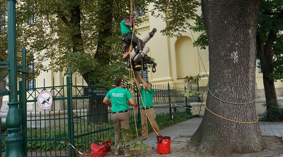Tavaly is életmentő szolgálatot végzett az MRSZ Kutató-Mentőcsoportja
