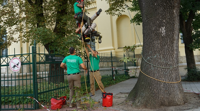 Csaknem száz helyszínen segített tavaly az MRSZ speciális egysége